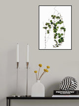 Herbarium 03 Poster och Canvastavla
