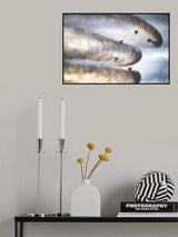 Sky trails Poster och Canvastavla