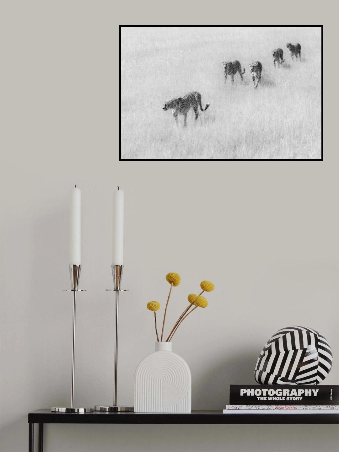 Five Boys Poster och Canvastavla