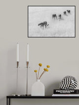 Five Boys Poster och Canvastavla