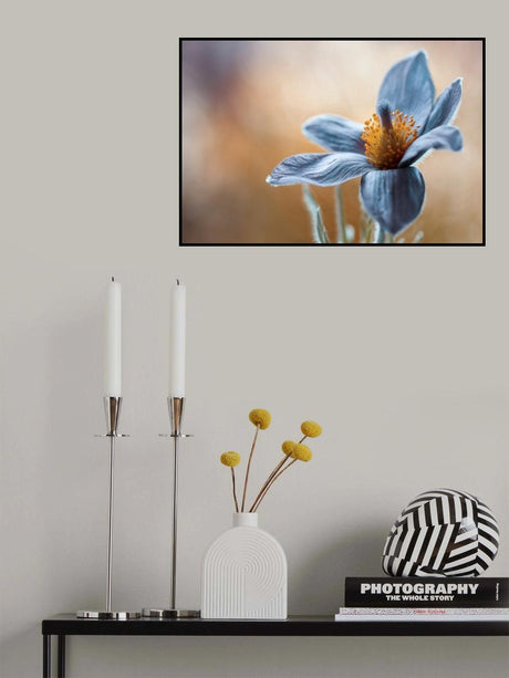 Pasque Poster och Canvastavla