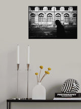 Silent Sun Poster och Canvastavla