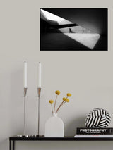 Thinker Poster och Canvastavla