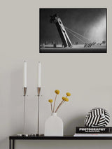 The overthrow of the monarch Poster och Canvastavla