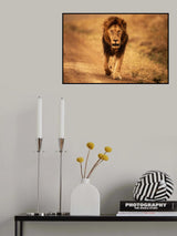 Locked Focus Poster och Canvastavla