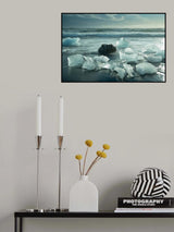 Animals at Jökulsárlón iceberg Zoo (4/5) Poster och Canvastavla