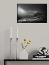 shepherd Poster och Canvastavla