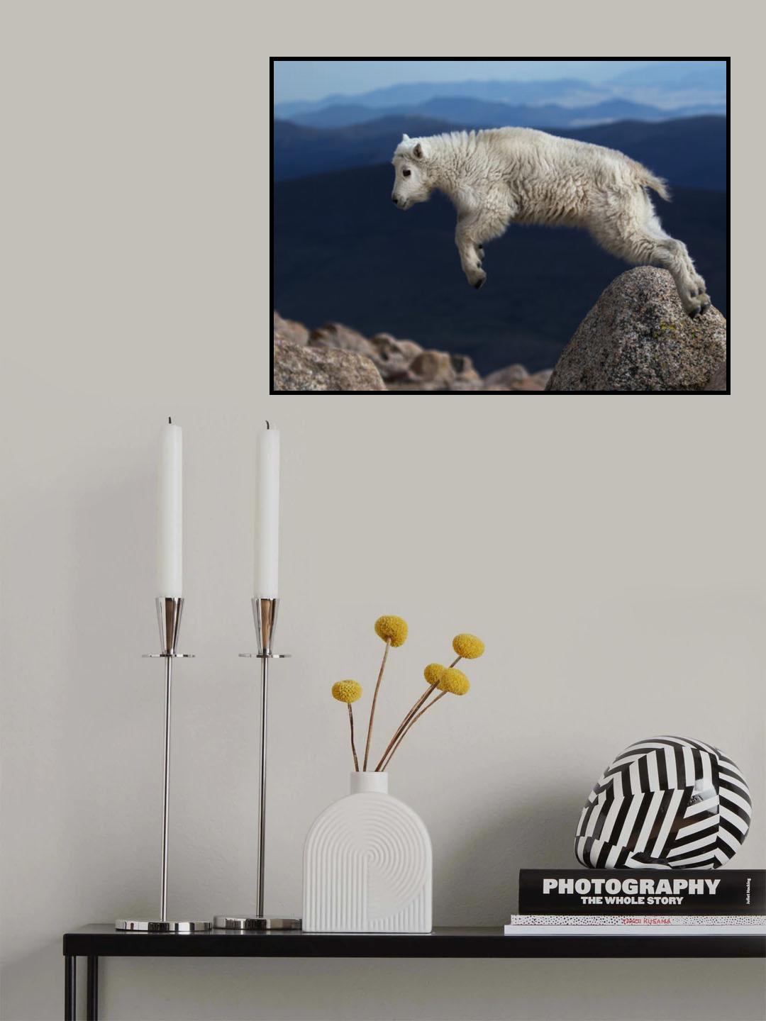 Hump Over Poster och Canvastavla