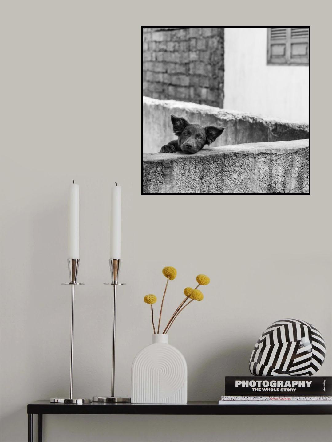 Minha Casa Poster och Canvastavla