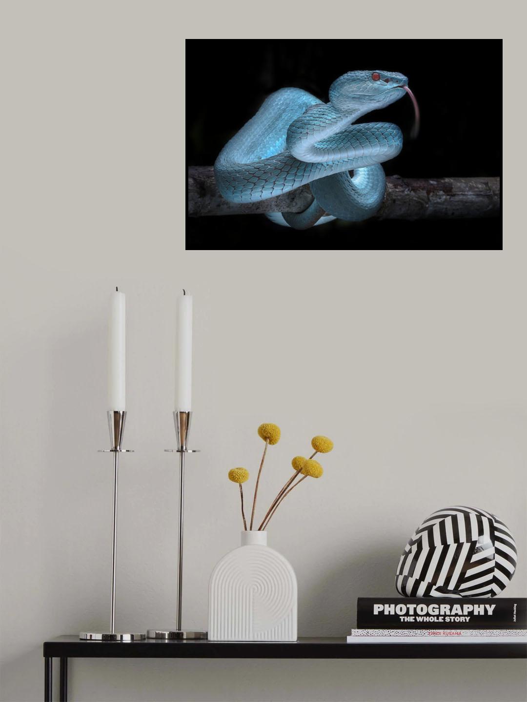 Venomus Blue Viper Snake Poster och Canvastavla