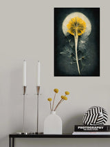 Dandelion Poster och Canvastavla