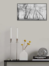 Mist Pine Forest Poster och Canvastavla