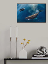 Friendly Encounter in Antarctica Poster och Canvastavla