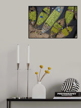 Summer fruit Poster och Canvastavla