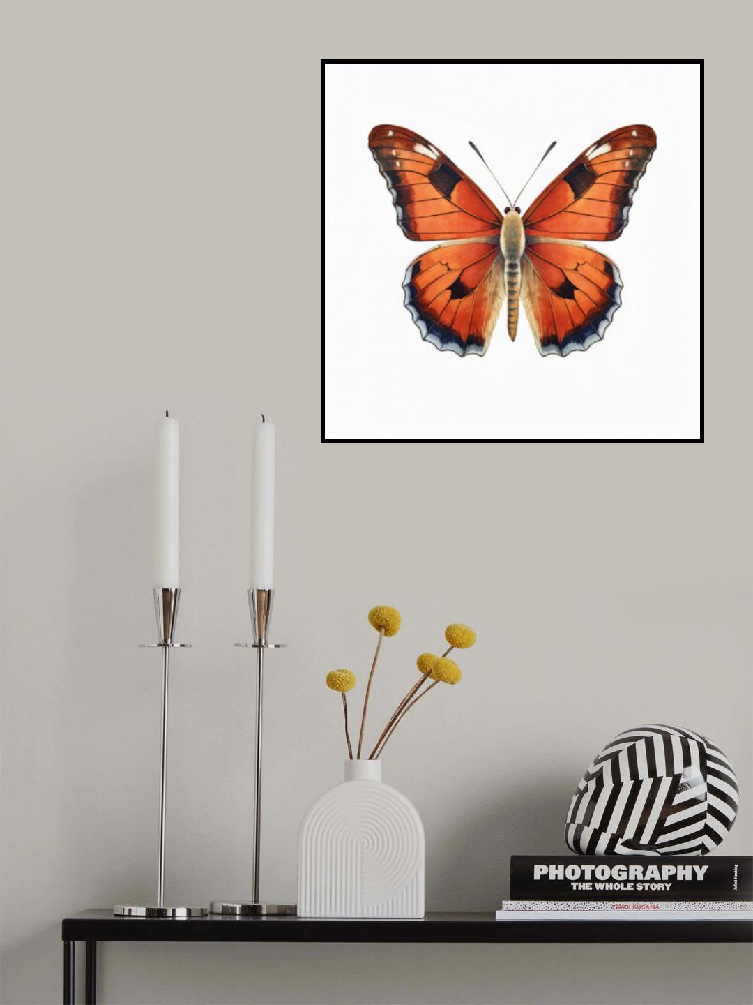 Butterfly 39 Poster och Canvastavla