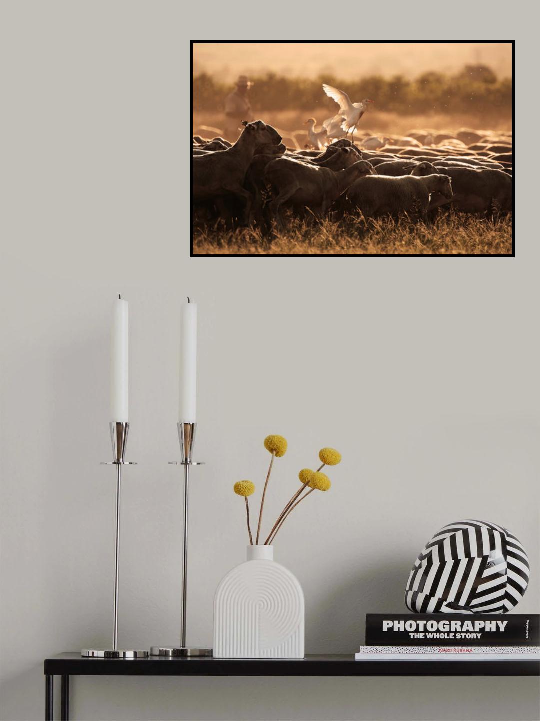 Esplugabous Poster och Canvastavla