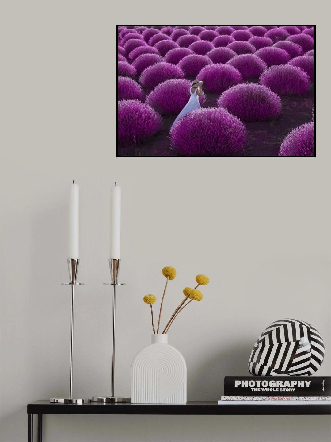 Lavenders Poster och Canvastavla