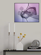 Hydrangea Poster och Canvastavla