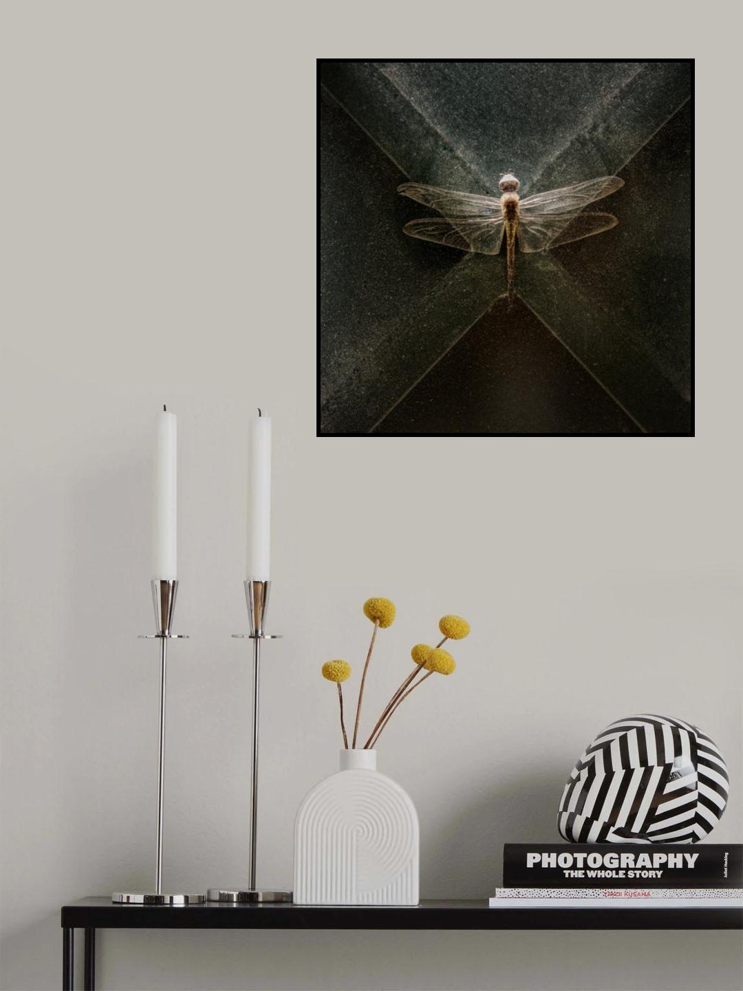 Dragonfly Poster och Canvastavla