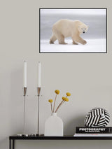 Walking Poster och Canvastavla