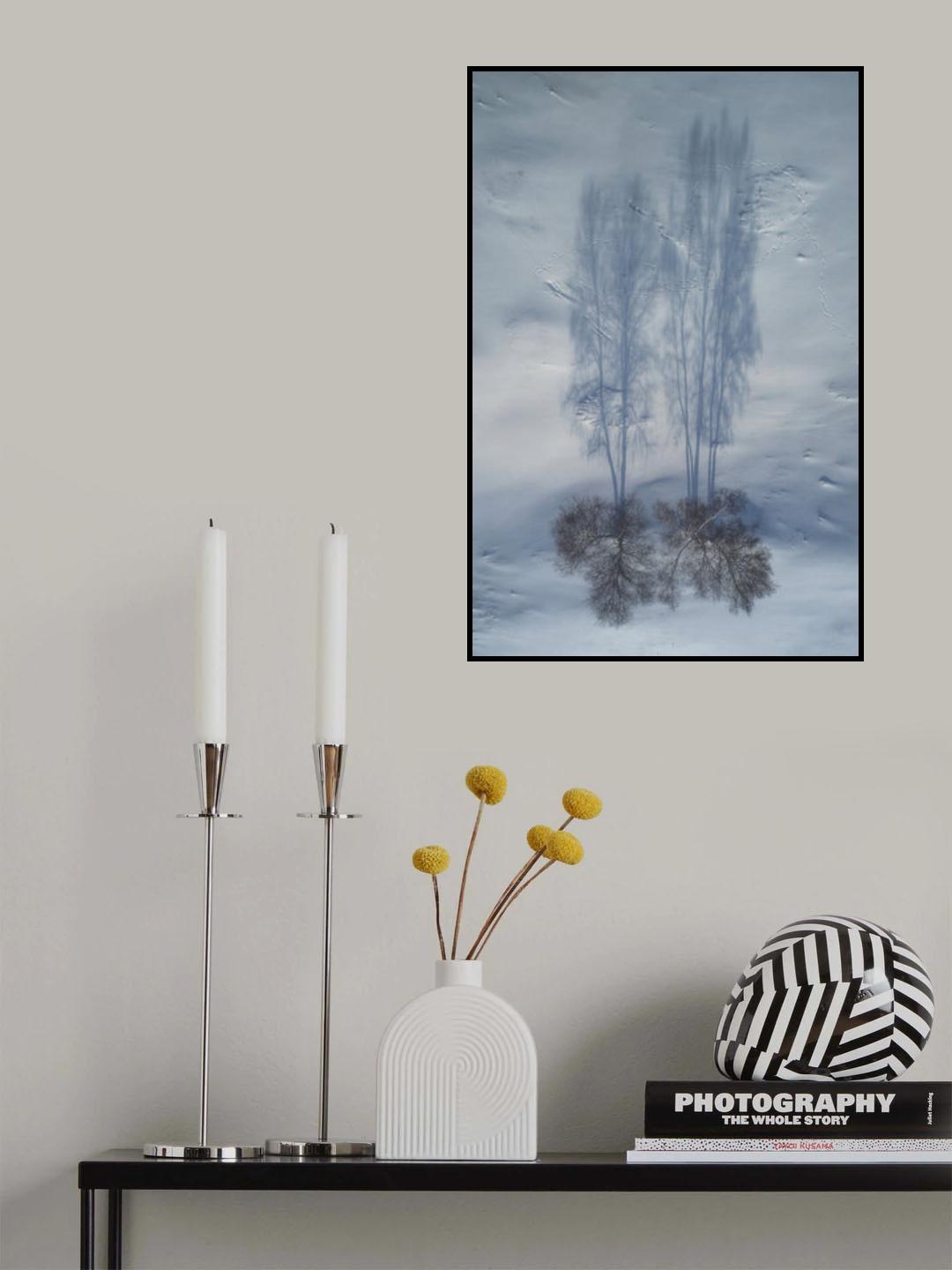 Pot plant Poster och Canvastavla
