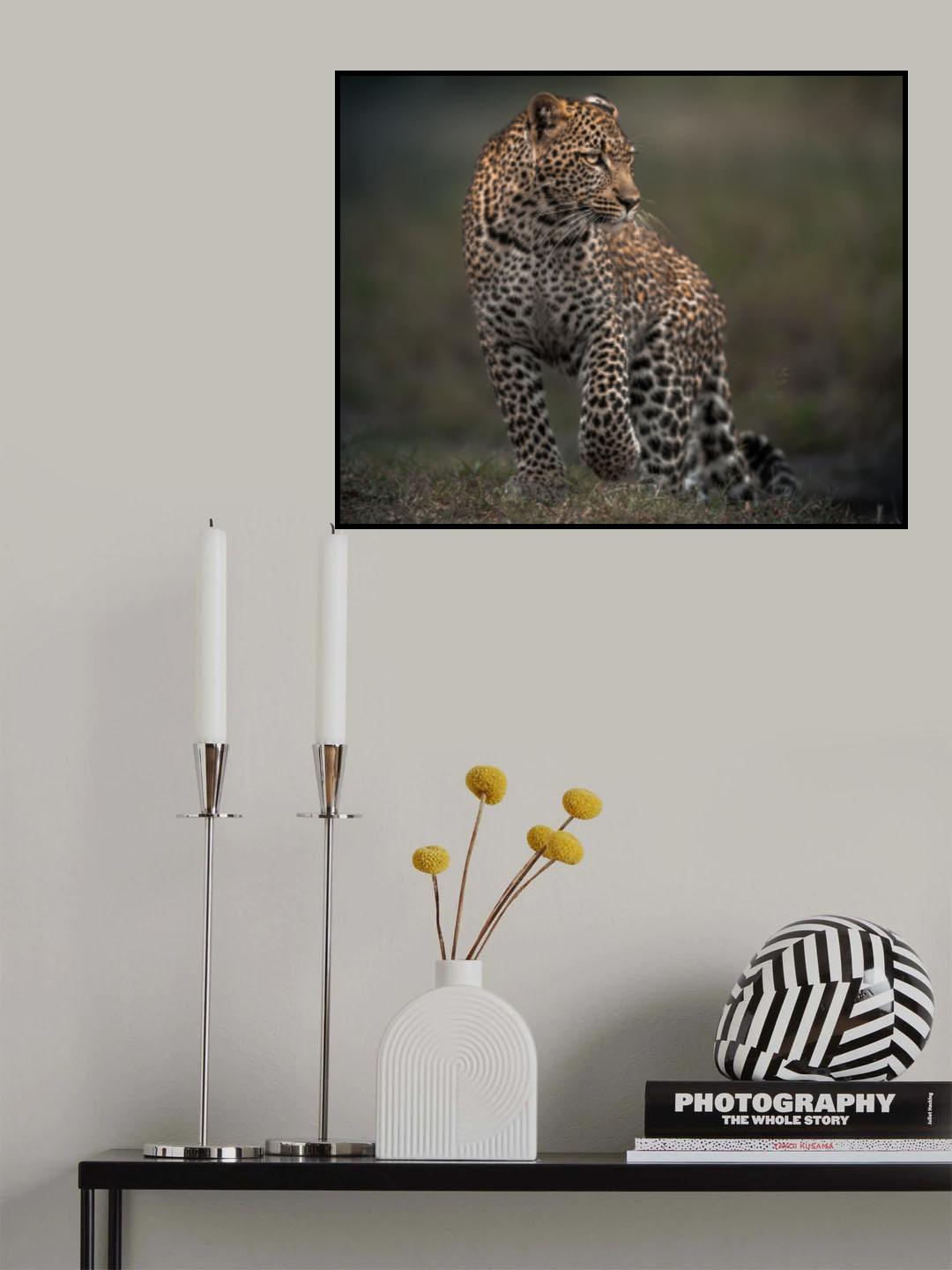 Spots Poster och Canvastavla