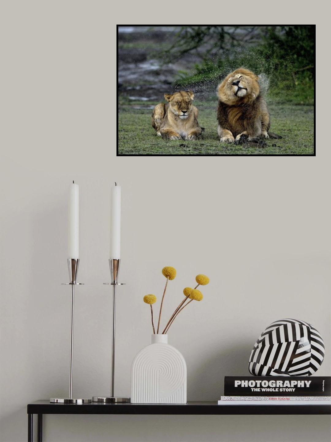 Love in the rain Poster och Canvastavla