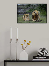 Love in the rain Poster och Canvastavla