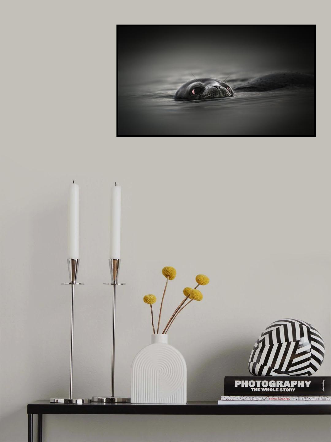 Curious Poster och Canvastavla