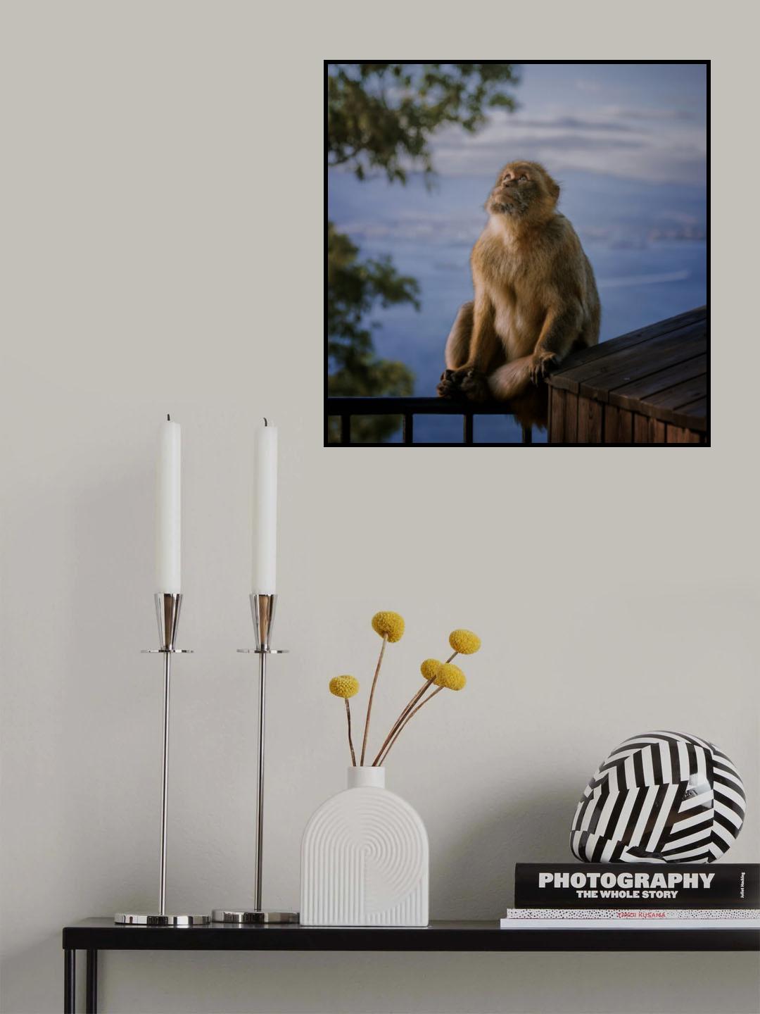 I Wish Poster och Canvastavla