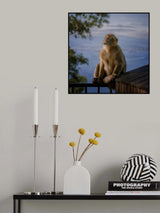 I Wish Poster och Canvastavla