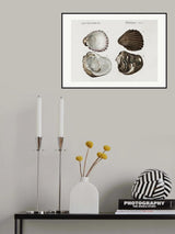Sealife III Poster och Canvastavla
