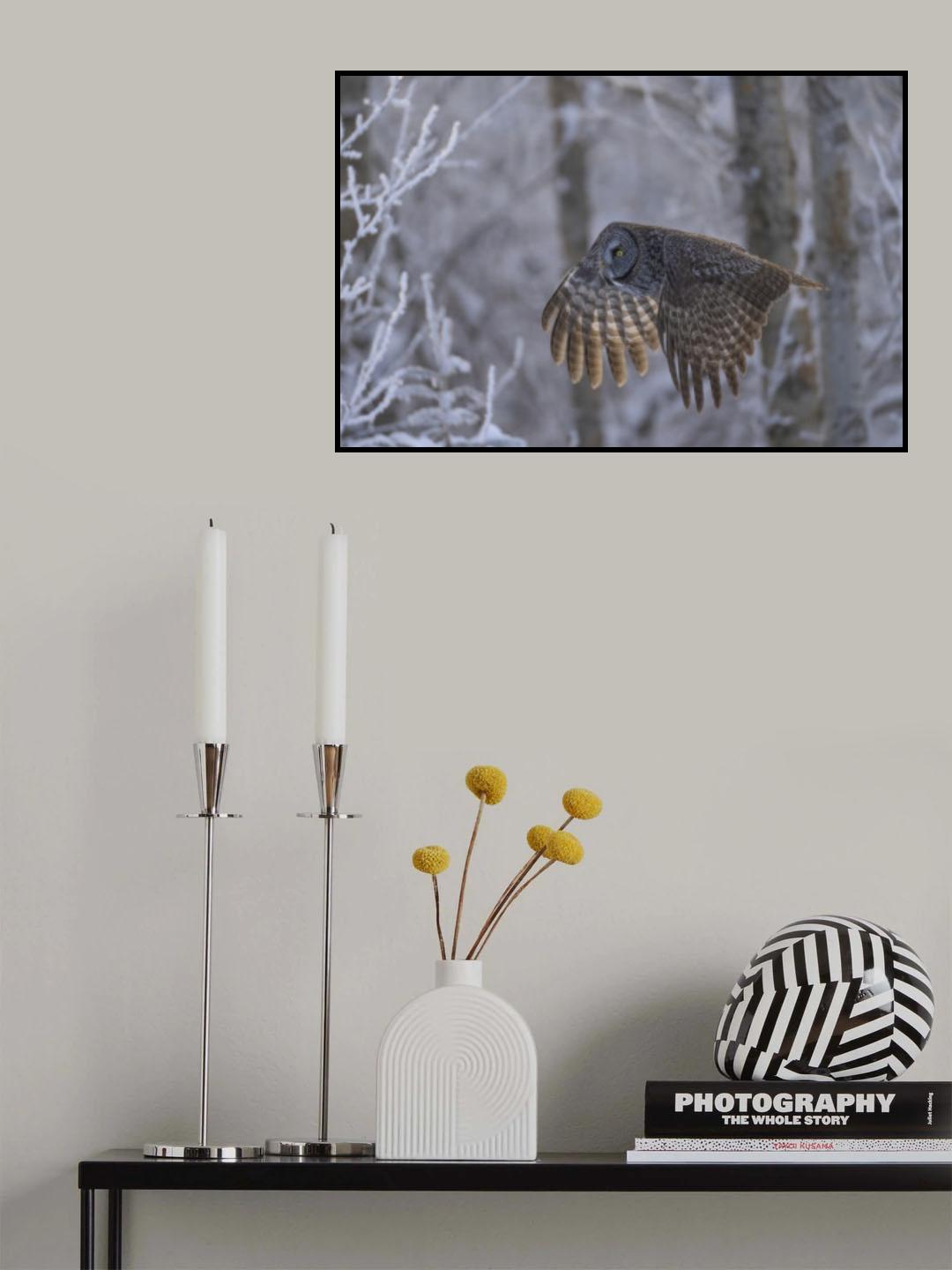 Magical moment Poster och Canvastavla