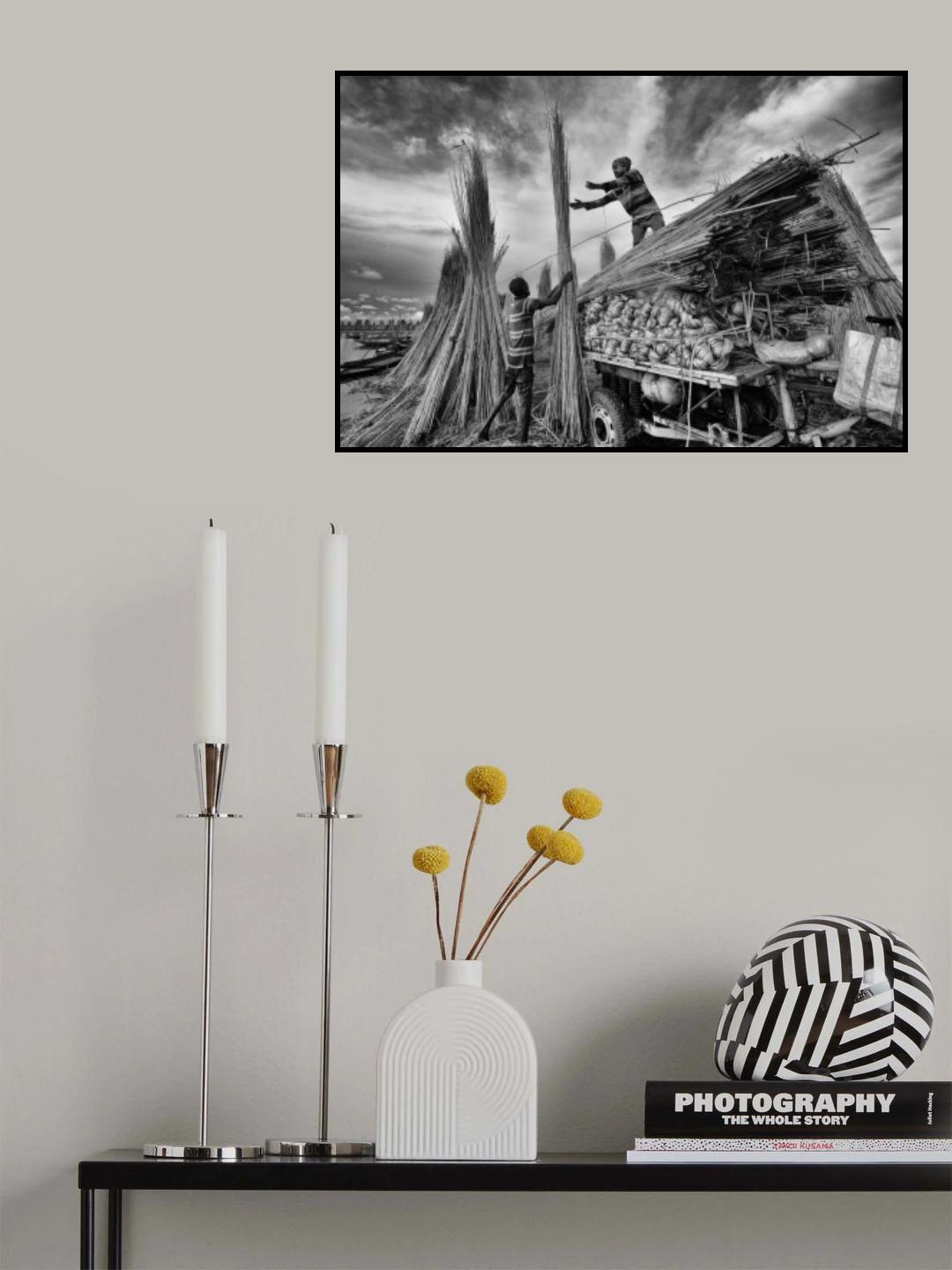 Jute straws - men at work Poster och Canvastavla