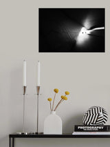 Diffuse lives Poster och Canvastavla