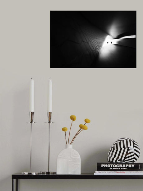 Diffuse lives Poster och Canvastavla