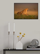 Hot dusk Poster och Canvastavla