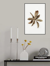 Dried Leaves_3 Poster och Canvastavla