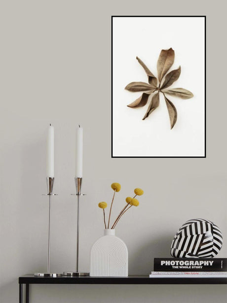 Dried Leaves_3 Poster och Canvastavla