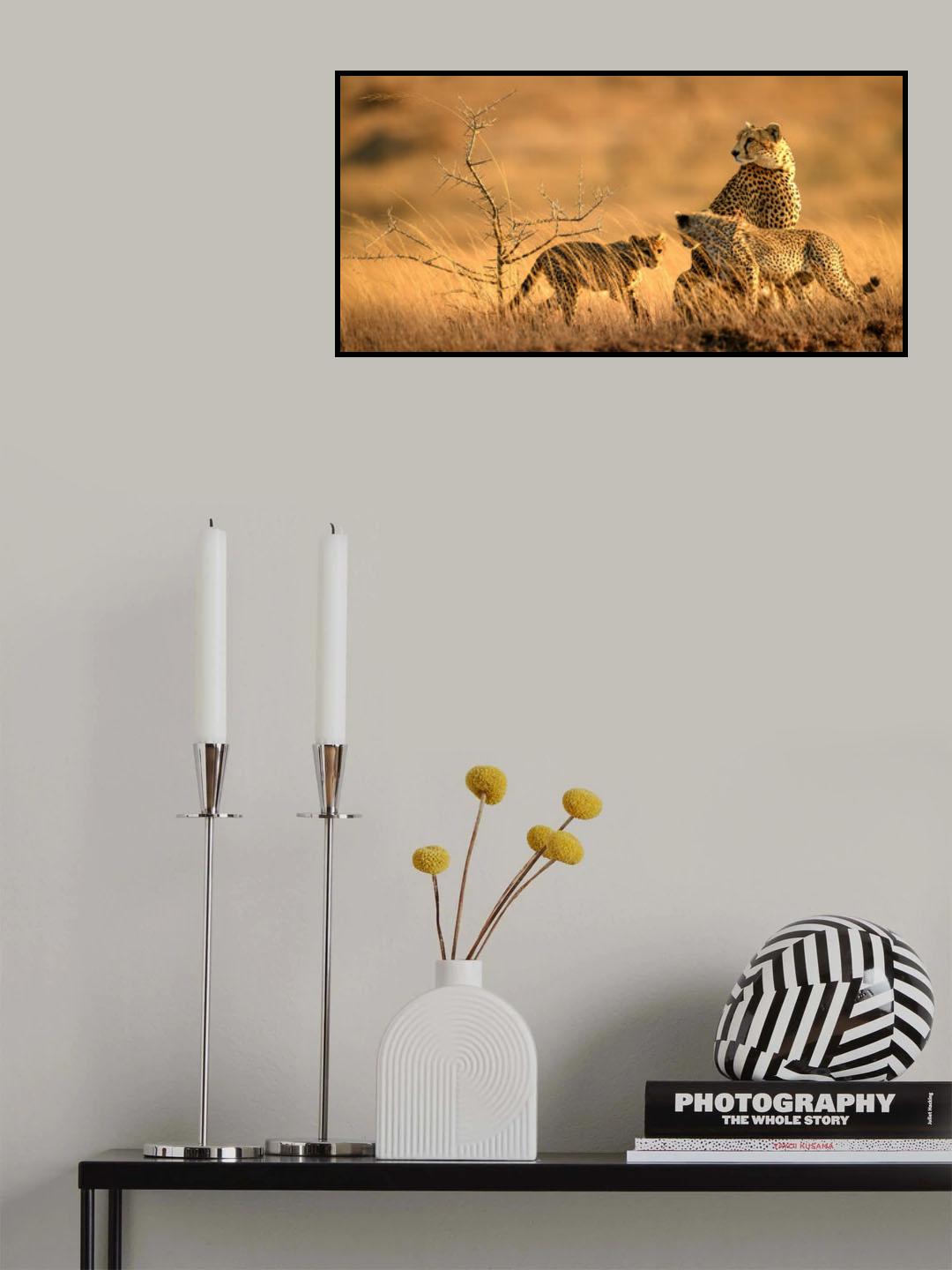 In the morning glow Poster och Canvastavla