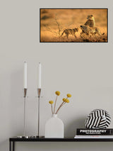 In the morning glow Poster och Canvastavla