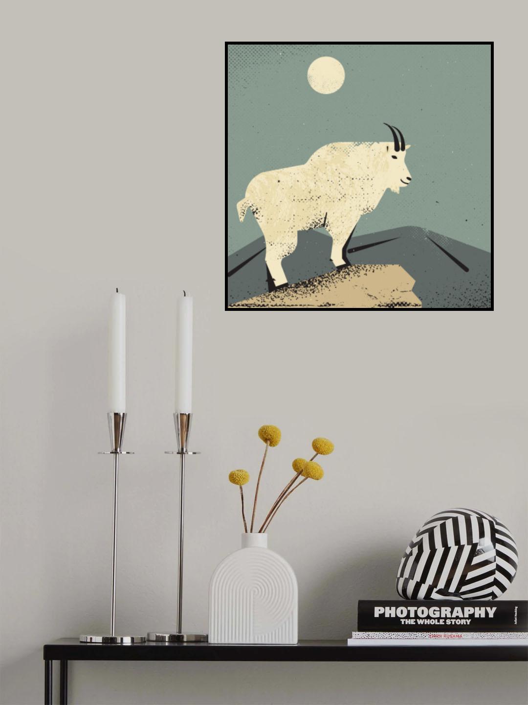 Mountain Goat Poster och Canvastavla