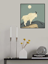 Mountain Goat Poster och Canvastavla