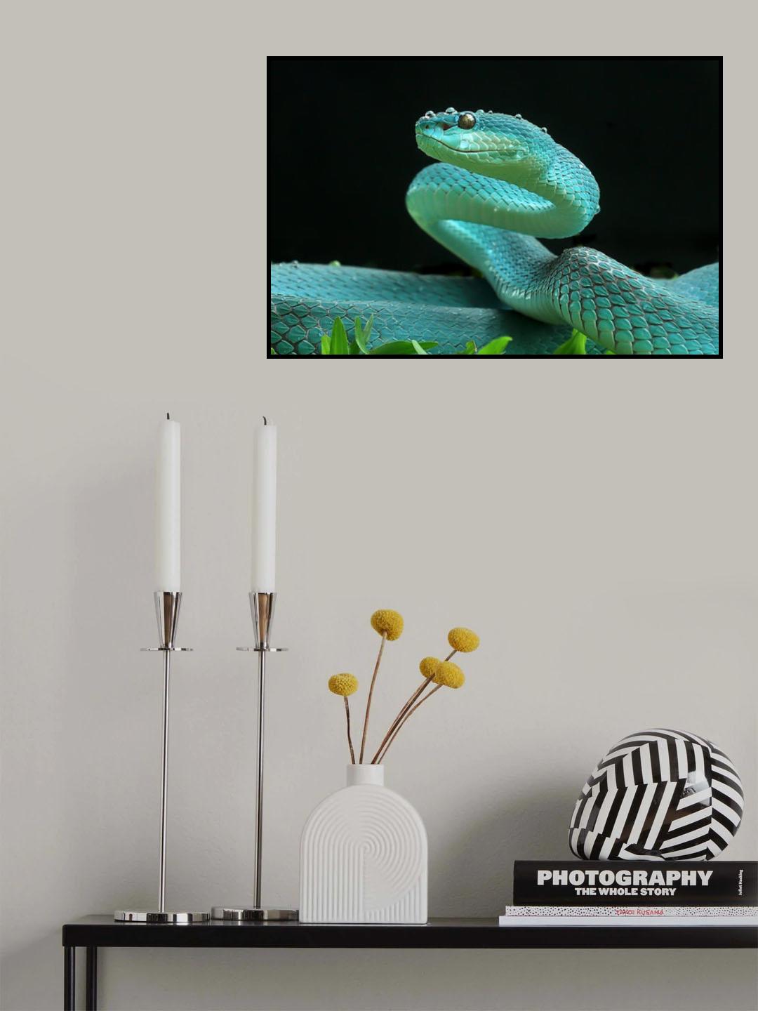 The Viper Poster och Canvastavla