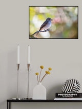 Spotted Flycatcher Poster och Canvastavla