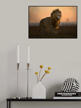 The King in the morning light Poster och Canvastavla