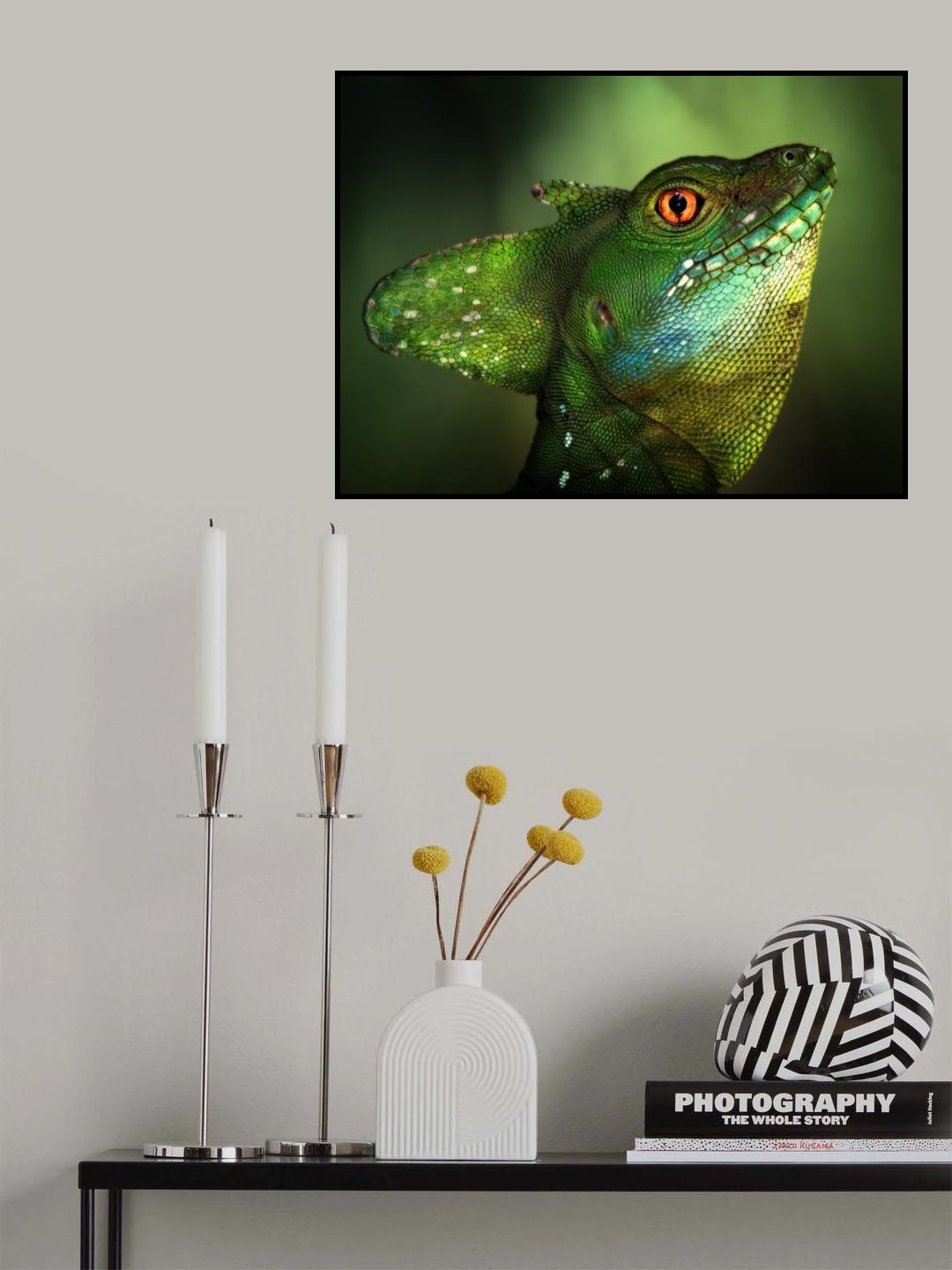 Basilisca verde Poster och Canvastavla
