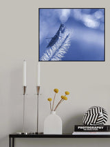 A little closer to the stars... Poster och Canvastavla