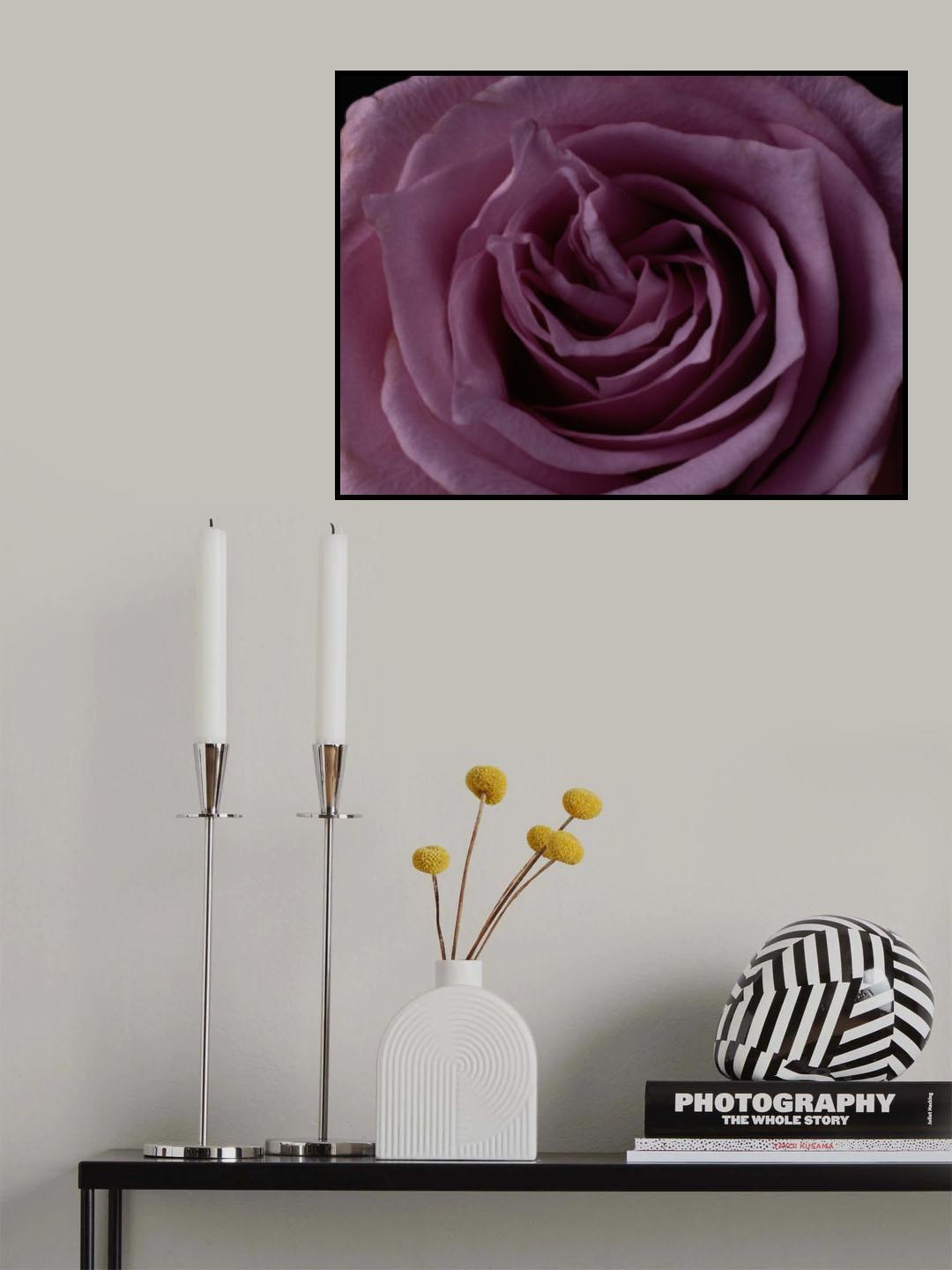 Pink Rose Poster och Canvastavla
