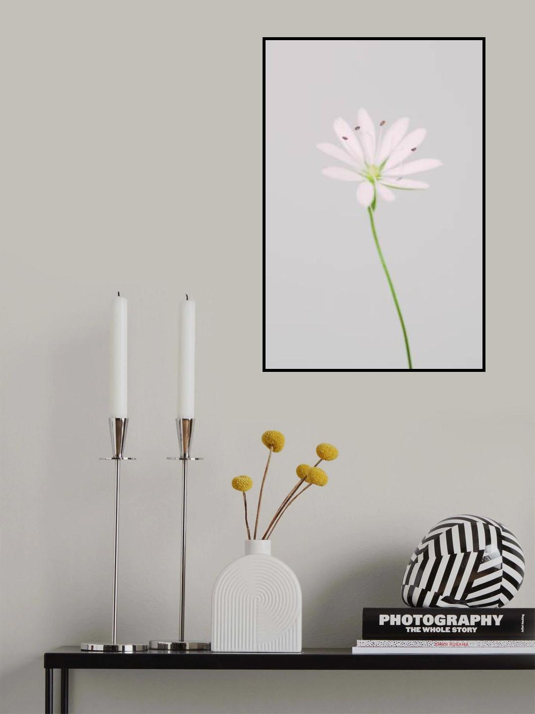 Small pink flower Poster och Canvastavla